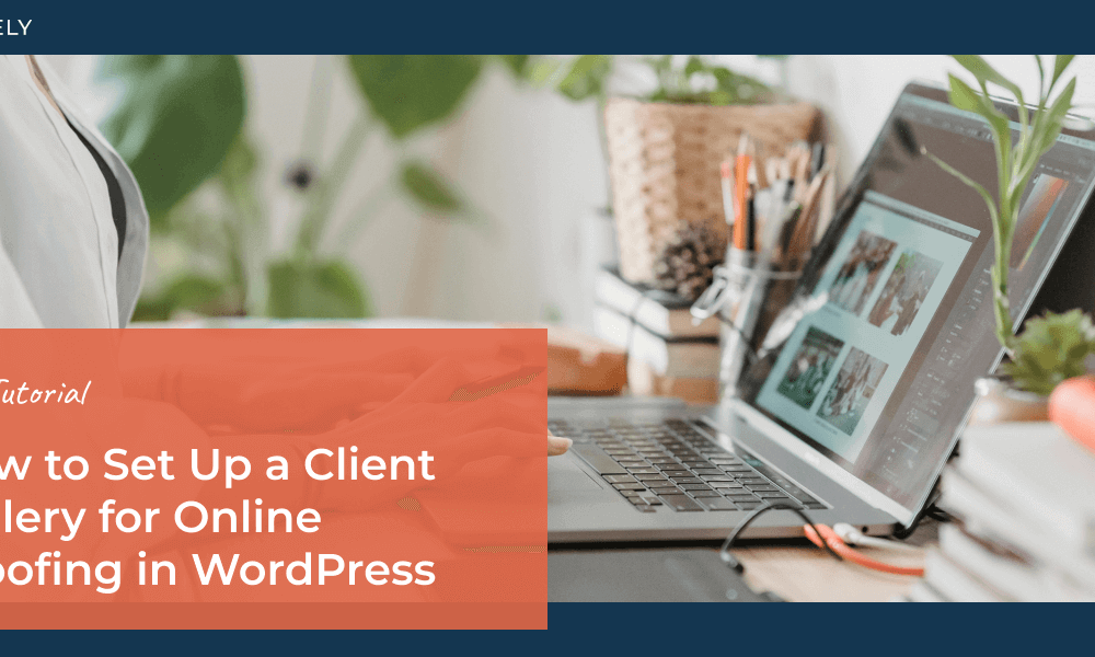 How to Set Up a Client Gallery for Online Proofing in WordPress