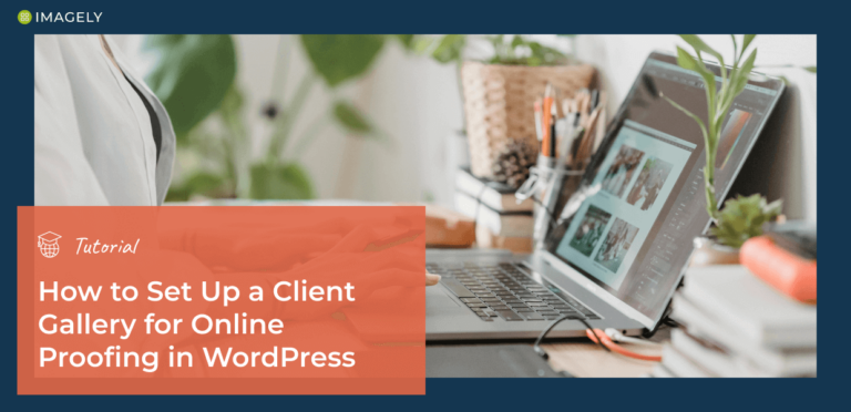 How to Set Up a Client Gallery for Online Proofing in WordPress