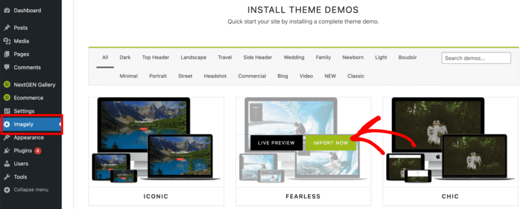 Import Imagely theme demos in WordPress