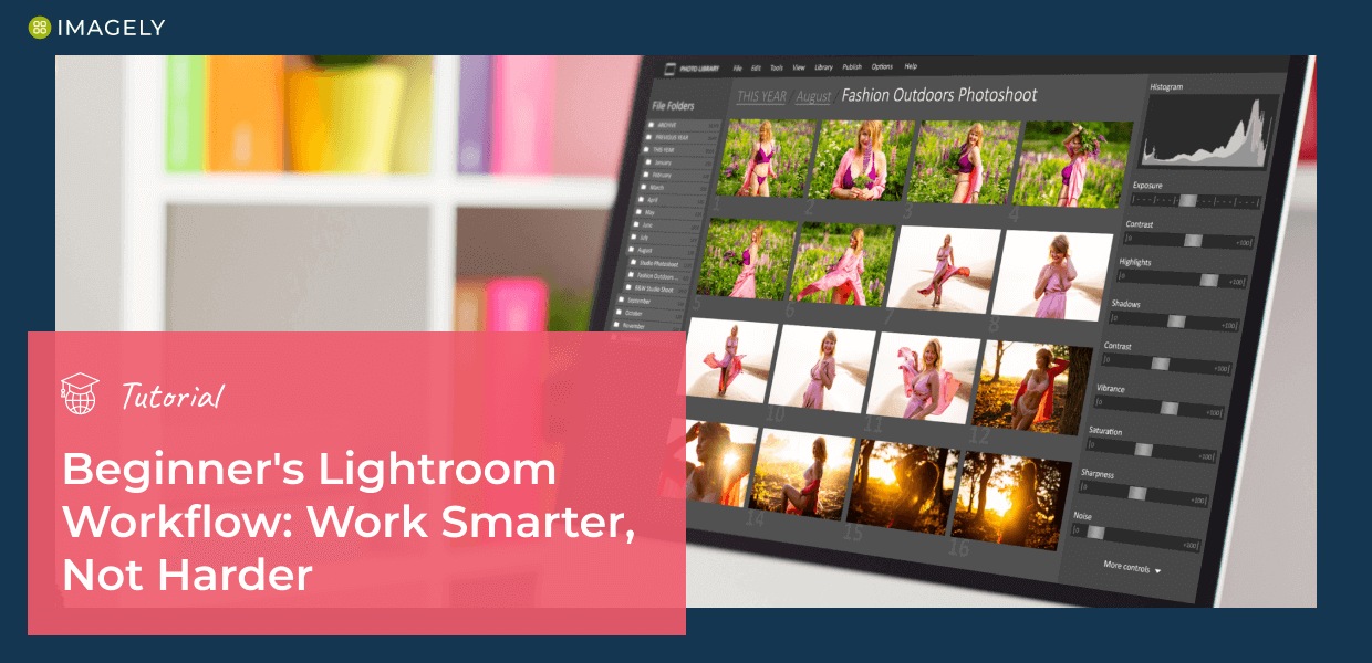 Beginner's Lightroom Workflow Tutorial: Work Smarter, Not Harder