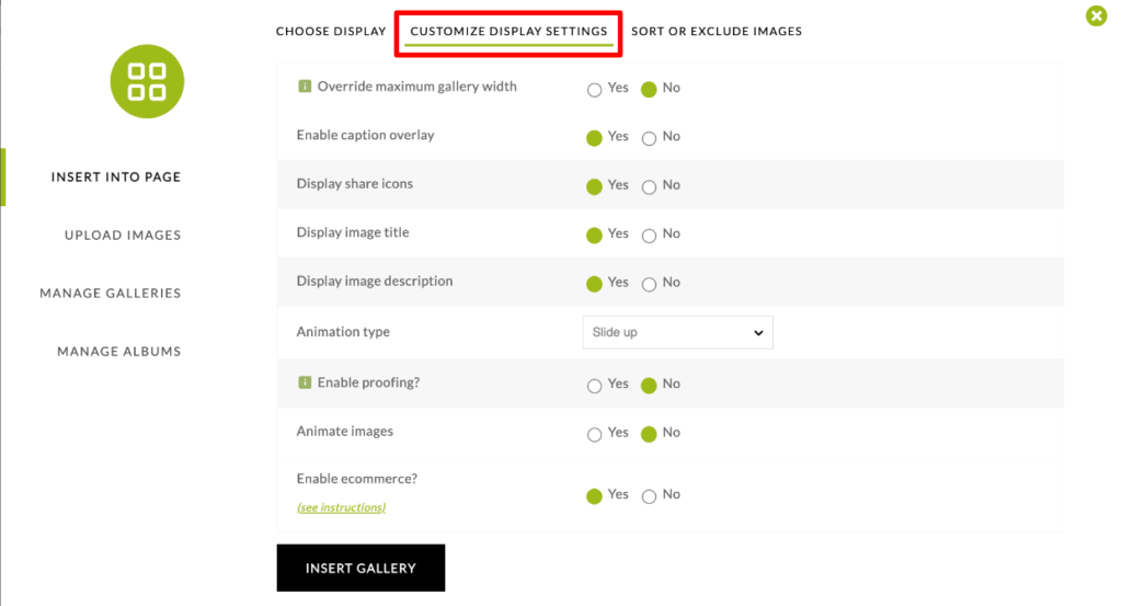 Insert gallery - customize display settings