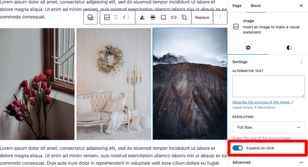 WordPress gallery lightbox without a plugin